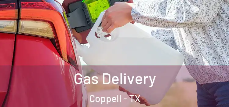  Gas Delivery Coppell - TX